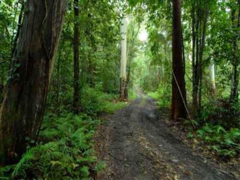 Palmview QLD 4553