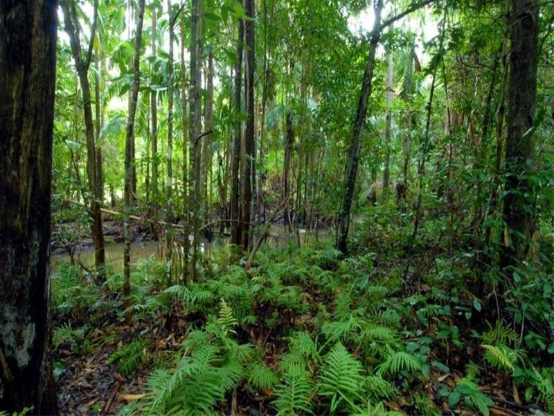 Palmview QLD 4553