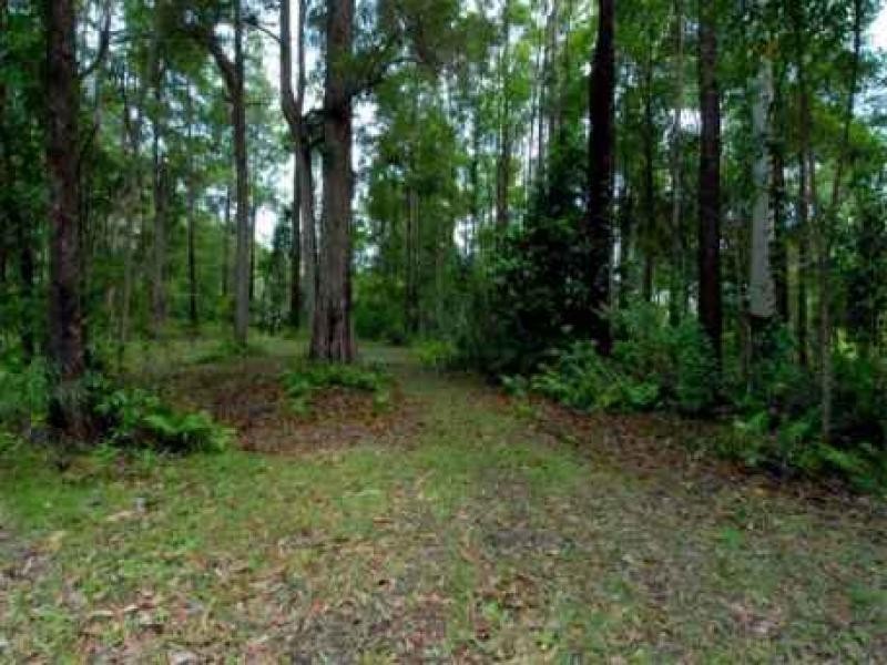 Palmview QLD 4553