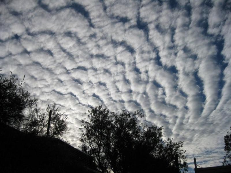 19 Gamban Street, Currimundi QLD 4551