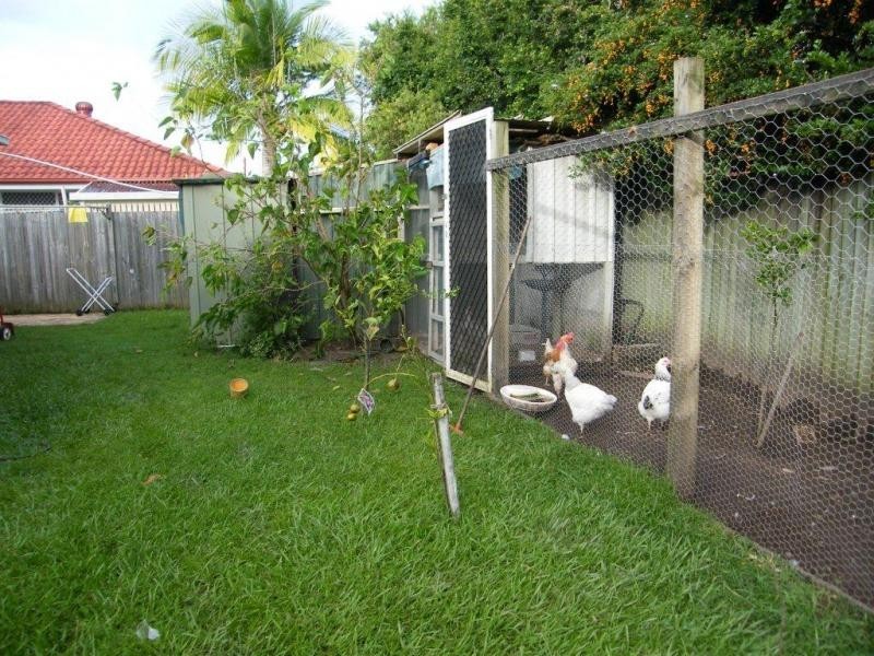 24 Tibouchina Place, Currimundi QLD 4551