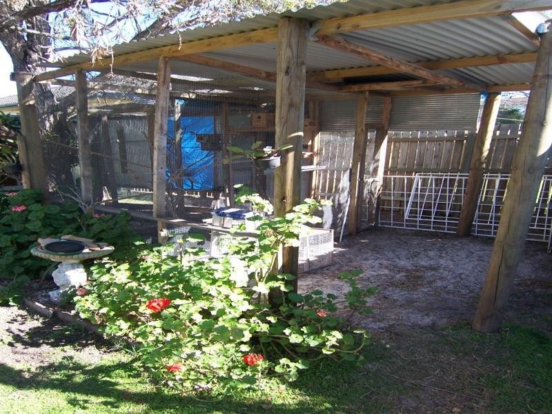 14 Orchard Street, Eastern Heights QLD 4305