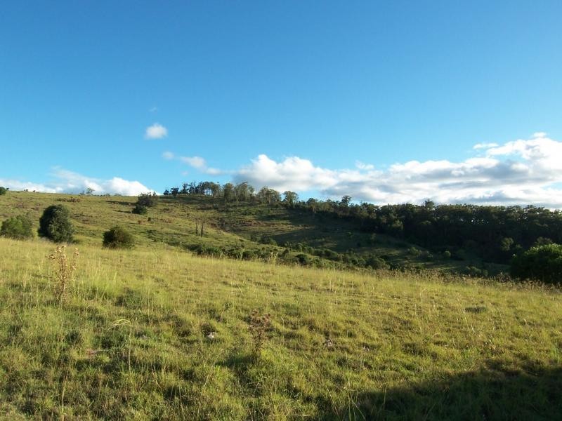lot 7 Zingelmann Road, Milbong QLD 4310