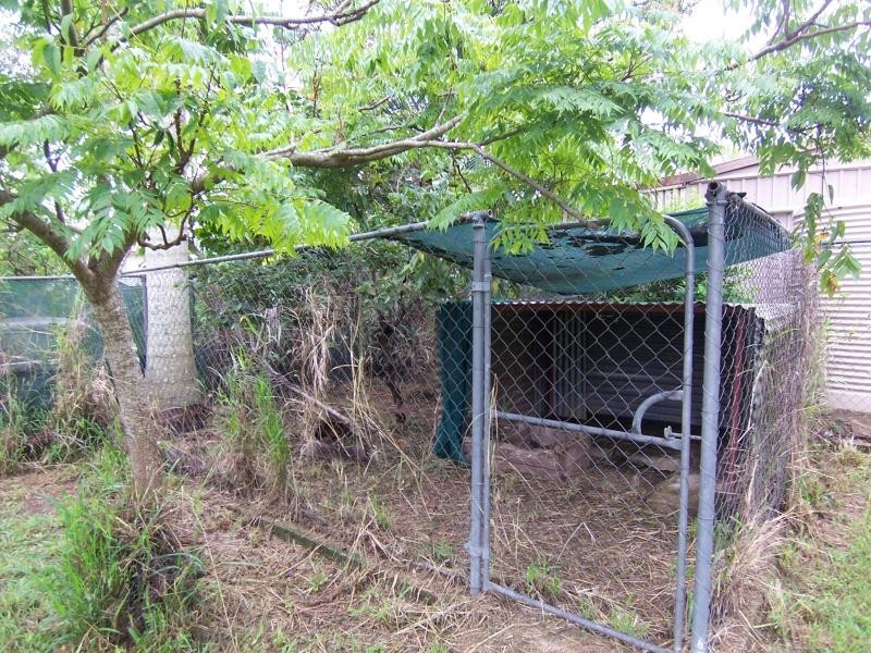 9 Clarice Avenue, North Ipswich QLD 4305