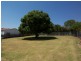 165 Glebe Road, Silkstone QLD 4304