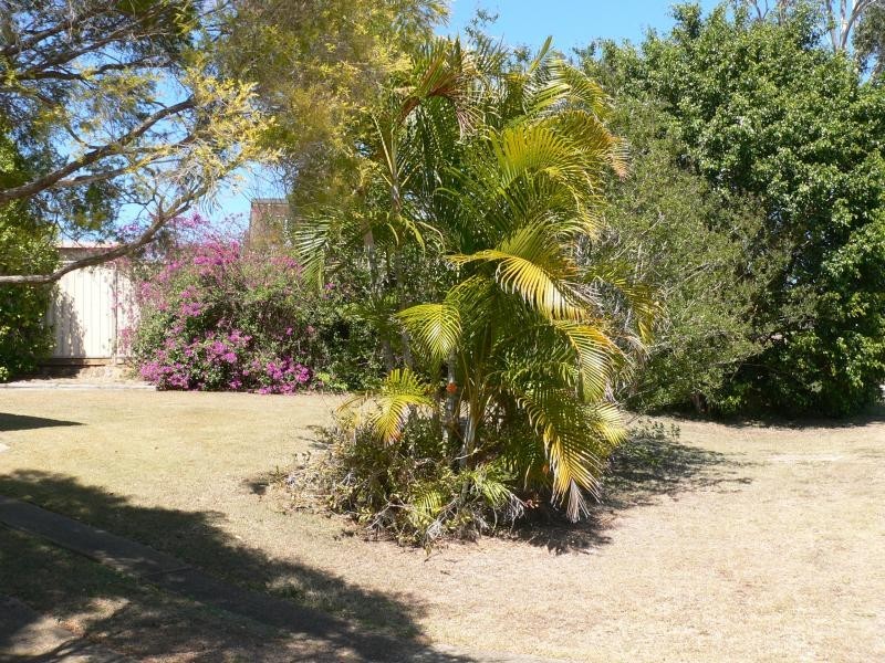 1 Simmons Street, North Ipswich QLD 4305