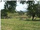 10 Linnings Rd, Haigslea QLD 4306