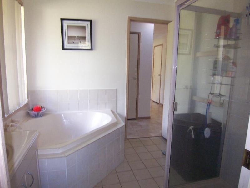 46 Flame Tree Court, Walloon QLD 4306