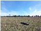 315 Reillys Road, Rosewood QLD 4340