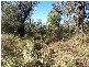 213 Thagoona – Haigslea Road, Mount Marrow QLD 4306