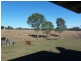 141 Stevens Rd, Purga QLD 4306