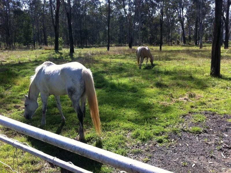 9 Evans Rd, Thagoona QLD 4306