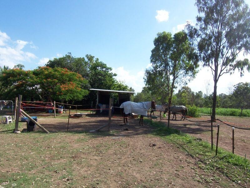 9 Anthonys Rd, Walloon QLD 4306