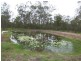Walloon QLD 4306