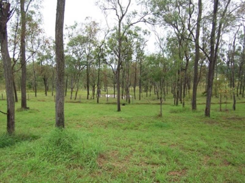 175 Milbong Rd, Anthony QLD 4310