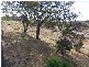 105 Mountain View Drive, Minden QLD 4311