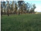 439 Haigslea-Amberley Rd, Walloon QLD 4306