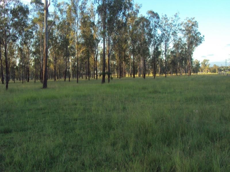 439 Haigslea-Amberley Rd, Walloon QLD 4306