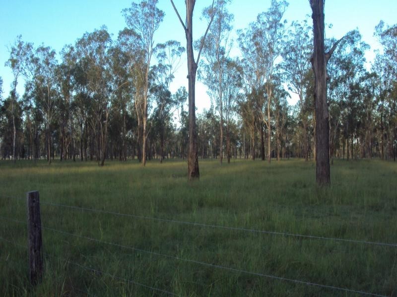 439 Haigslea-Amberley Rd, Walloon QLD 4306