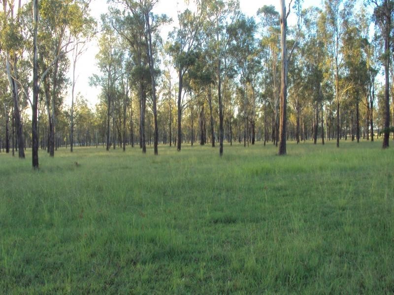 439 Haigslea-Amberley Rd, Walloon QLD 4306