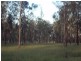 439 Haigslea-Amberley Rd, Walloon QLD 4306