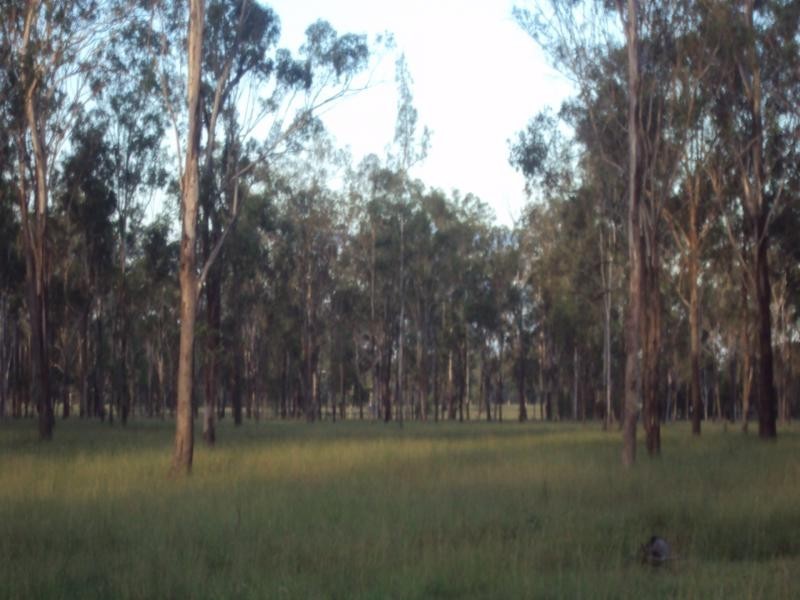 439 Haigslea-Amberley Rd, Walloon QLD 4306