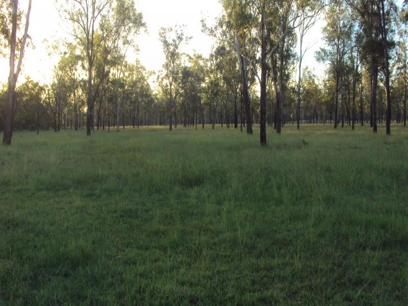 439 Haigslea-Amberley Rd, Walloon QLD 4306