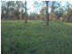 439 Haigslea-Amberley Rd, Walloon QLD 4306
