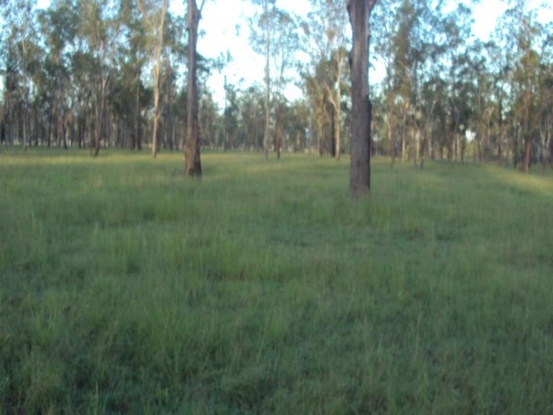 439 Haigslea-Amberley Rd, Walloon QLD 4306