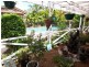 51 Farrell Drive, Walloon QLD 4306
