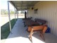 18 Honeysuckle Court, Walloon QLD 4306