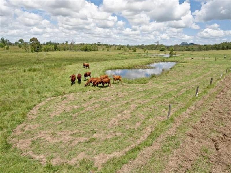 270 Goebels Road, Mount Forbes QLD 4340
