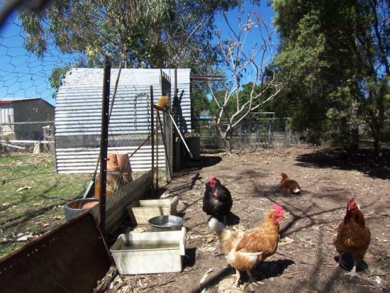 8 Macadamia Ct, Walloon QLD 4306