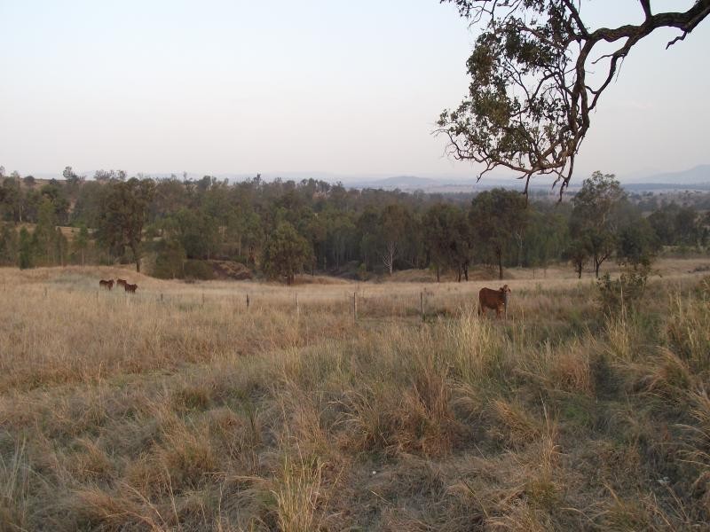 2676 Rosewood-Warrill View Road, Coleyville QLD 4307