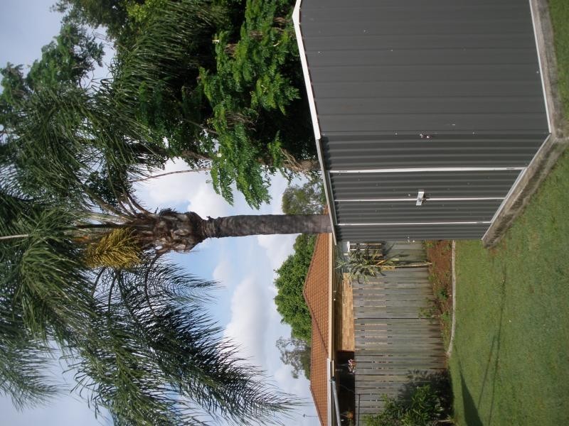 16 Bernadette Cr, Rosewood QLD 4340