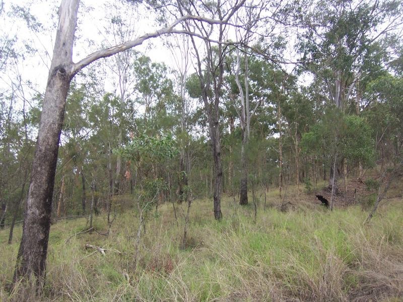 Lot 104 Rosewood Laidley Rd, Calvert QLD 4340