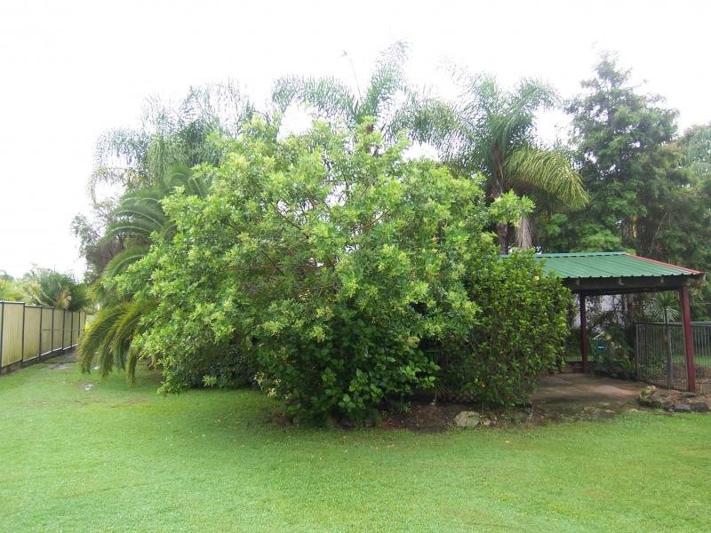 57 Flame Tree Ct, Walloon QLD 4306