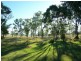 661 Roadvale-Harrisvile Rd, Milora QLD 4309
