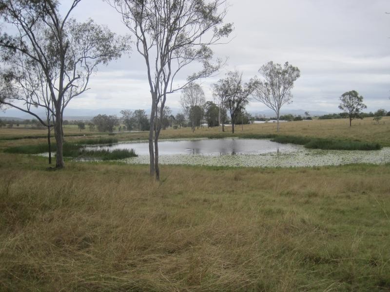 661 Roadvale-Harrisvile Rd, Milora QLD 4309