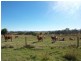 102 Jacobs Road, Mount Forbes QLD 4340