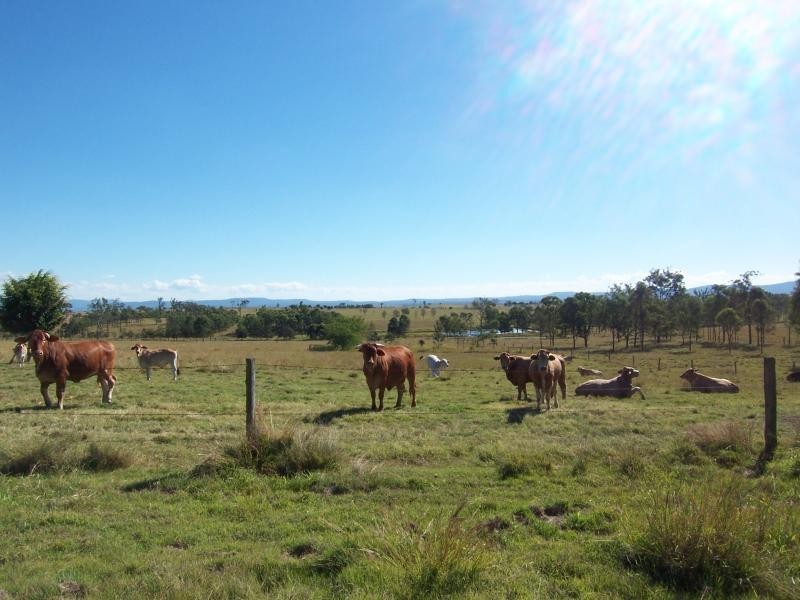 102 Jacobs Road, Mount Forbes QLD 4340