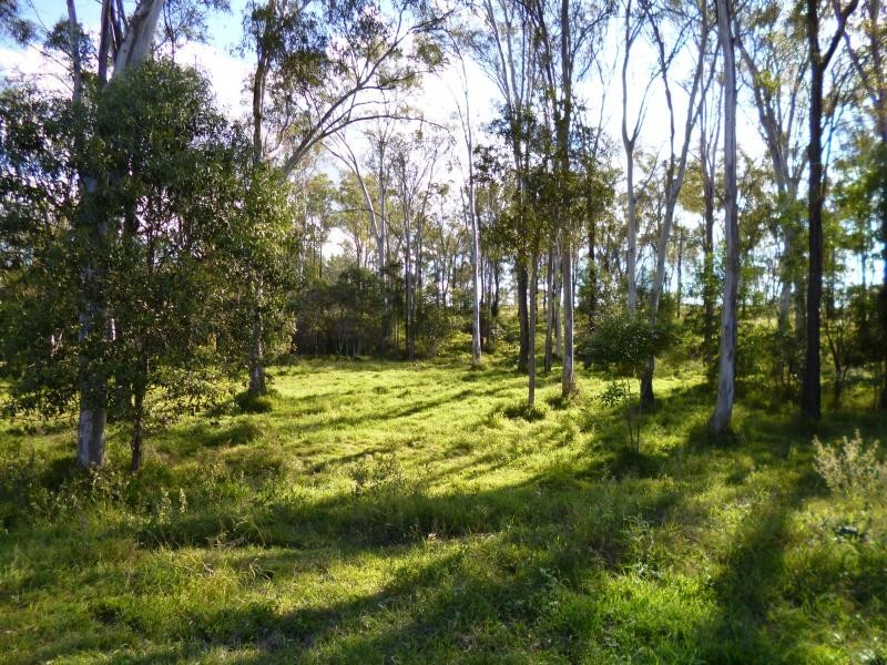 110 Harwoods Road, Walloon QLD 4306