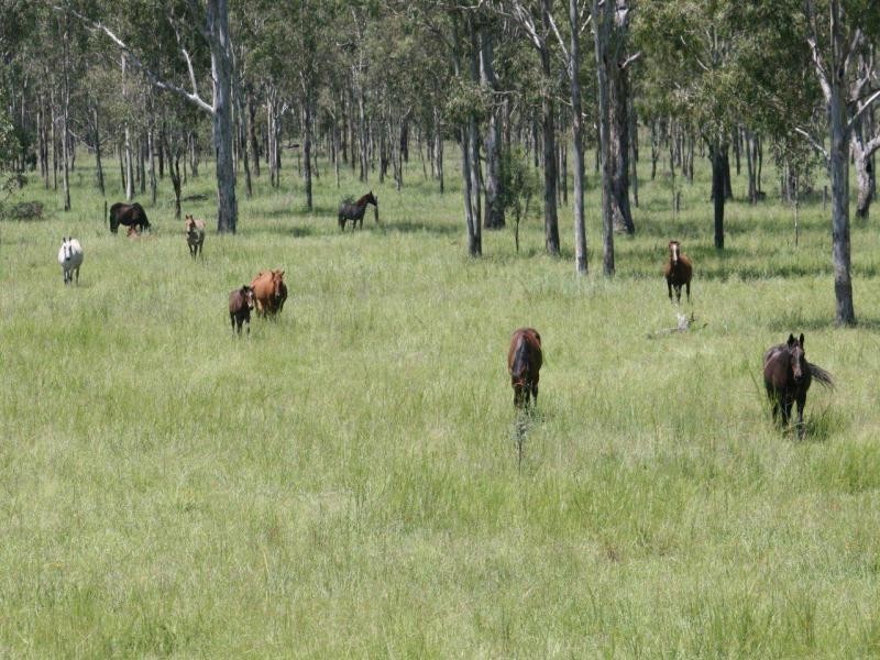 174 McGearys Road, Thagoona QLD 4306