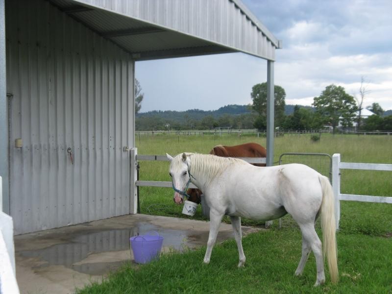 174 McGearys Road, Thagoona QLD 4306