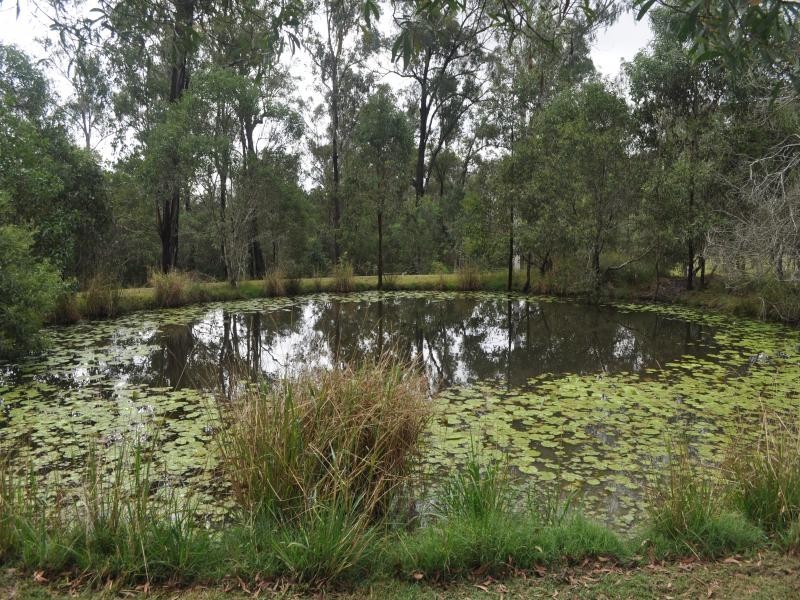 48 James Road, Pine Mountain QLD 4306