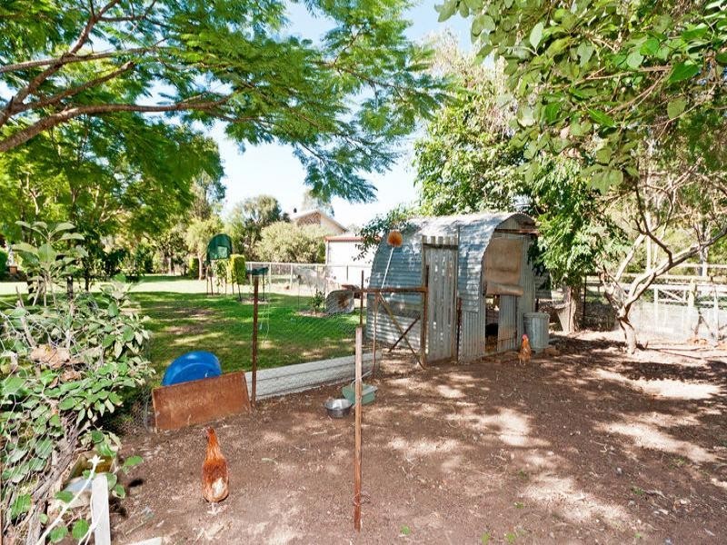 8 Macadamia Ct, Walloon QLD 4306