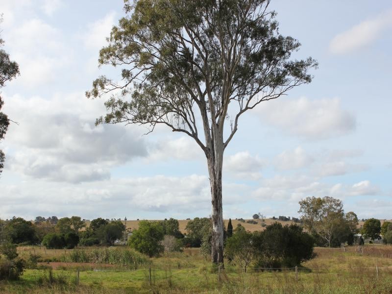 17-23 Edward St, Marburg QLD 4346