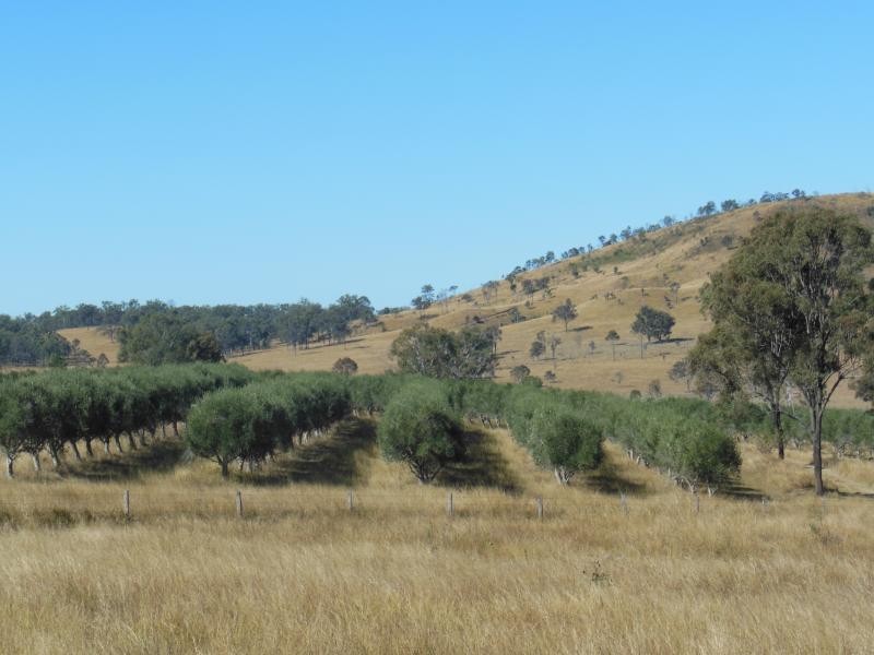 121 Brown Road, Frazerview QLD 4309