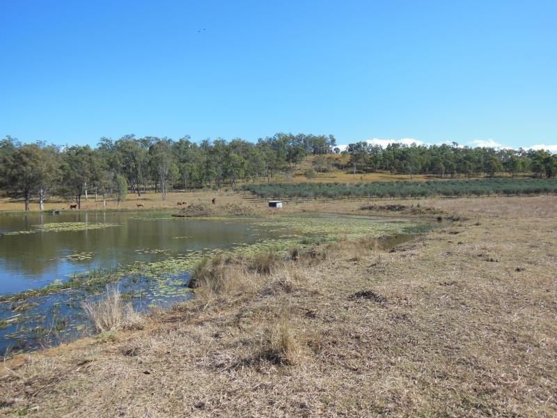 121 Brown Road, Frazerview QLD 4309