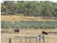 121 Brown Road, Frazerview QLD 4309